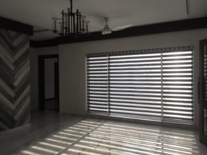 zebra blinds