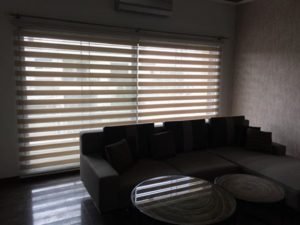 zebra blinds